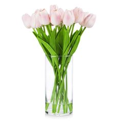 pink tulips are in a clear vase on a white background with green stems