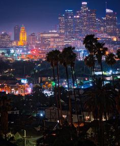 the city skyline is lit up at night with palm trees and buildings in the foreground