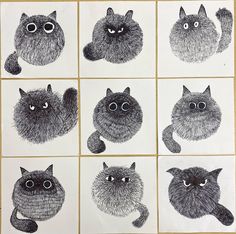 nine drawings of cats with different eyes and hair on white paper, each drawn by hand