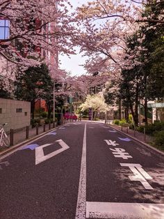 an empty street lined with trees and flowers