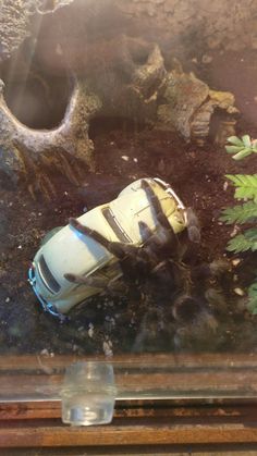 an old car is sitting in the dirt near some rocks and trees, with water on the ground