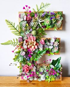 the letter e is made up of flowers and succulents