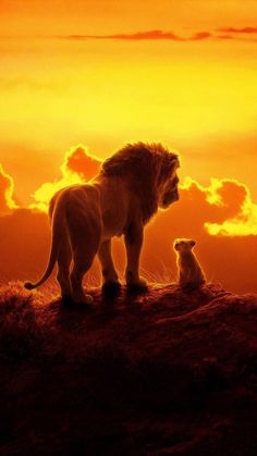 the lion king and his cub stand on top of a hill as the sun sets