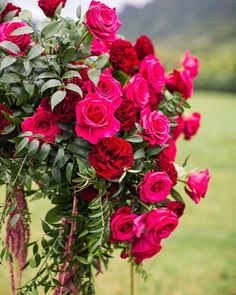 a bunch of roses that are on some sticks in the grass with mountains in the background