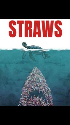 a turtle swimming in the ocean next to a pyramid of straws