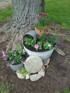 several potted plants are arranged around a tree