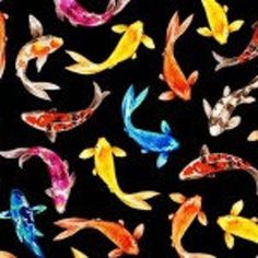 an image of colorful koi fish on black background