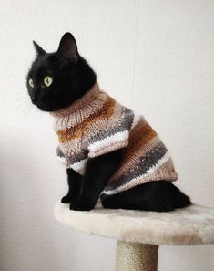 a black cat sitting on top of a scratching post wearing a sweater that is striped