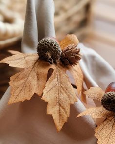 two leaves and acorns are sitting on a cloth