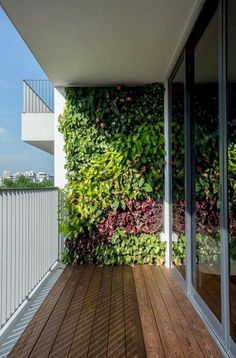 an outdoor deck with wooden flooring next to a white building and green plants on the wall