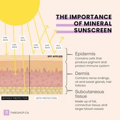 Skin Physiology, Room Esthetics, Skincare Education, Moisturizers For Dry Skin, Spf Skincare, Marketing Studio, Esthetician Marketing