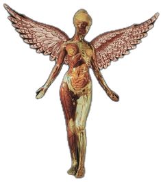 an image of a human figure with wings on it's body and torsos