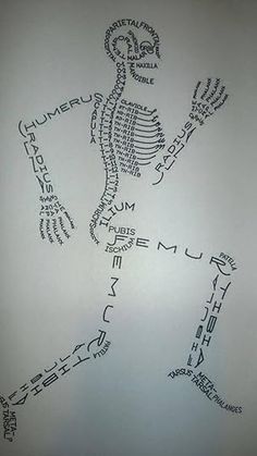 a drawing of a skeleton with words written on it