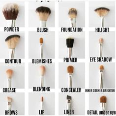 Types Of Makeup Brushes, Makeup Brush Uses, Membentuk Alis, Bentuk Alis, Make Up Foundation, Brush Guide, Mekap Mata, Makeup Order, Makeup Brushes Guide