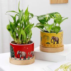 two potted plants sitting on top of a white table next to each other with elephants painted on them