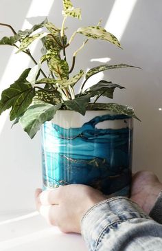 a person holding a potted plant with green leaves and blue water on the bottom