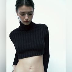 Long Sleeve Crop Top With High Collar. Black 1131/301 #Bi Zara Black Fitted Sweater, Chic Black Zara Sweater, Fitted Black Zara Sweater, Zara Fitted Ribbed Sweater, Zara Black Sweater For Spring, Trendy Black Zara Sweater, Black Stretch Cropped Sweater, Stretch Cropped Black Sweater, Zara Black Ribbed Top