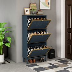 there is a shoe rack with shoes on it in the hallway next to a potted plant