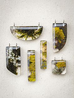 four different pieces of glass with moss and lichen in them on a white surface