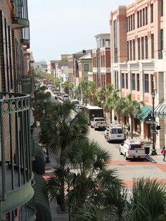 a city street filled with lots of traffic next to tall buildings covered in palm trees