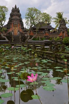 a large pond with water lilies and buildings in the background