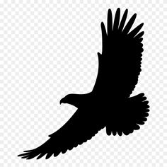 an eagle flying in the sky with its wings spread out silhouette, hd png