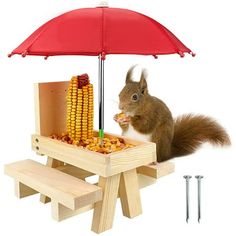 a squirrel eating corn on the cob under an umbrella