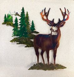 a deer with antlers standing in front of some trees and bushes on a white background