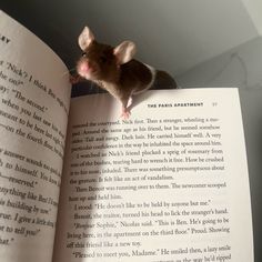 a mouse sitting on top of an open book