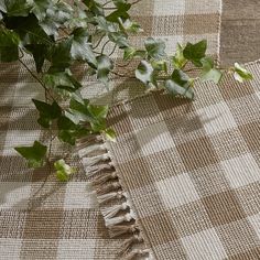 a plant is sitting on top of a checkered blanket