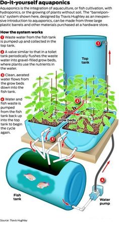 the diagram shows how to use an aquaponics machine for growing plants and water