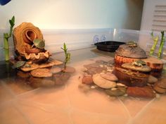 there are some rocks and plants on the counter