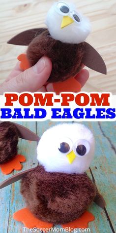 the pom - pom bald eagle is an easy craft for kids to make