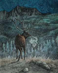 a drawing of a deer standing on top of a grass covered field under a night sky