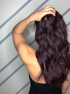 Beautiful Dark Hair Color, Dark Purple Brunette Hair, Single Process Brown Hair, Cool Amethyst Hair Color, Dyed Burgundy Hair, Purple Brunette Hair, Purple Hair Color Ideas For Brunettes, Summer Dark Hair, Dark Brown Purple Hair