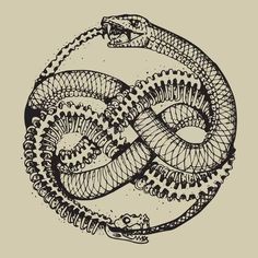 a black and white drawing of a snake