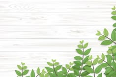 green leaves on white wood background