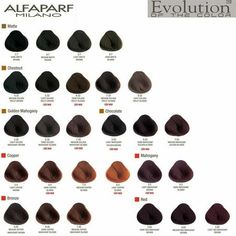 The Alfaparf Milano Evolution of the Hair Color Dye Haircolor Cube is the ultimate solution for anyone looking to achieve flawless color results with long-lasting vibrancy. This updated hair color line offers a complete range of natural and sophisticated shades that are sure to suit any style or preference.The vegan formula is enhanced with PATENTED COLOR GUARD TECHNOLOGY, ensuring that your hair color stays true and vibrant for longer. This comprehensive color protection system not only guarant Dark Reddish Brown Hair Color, Reddish Brown Hair Color, Clairol Hair Color, Clairol Natural Instincts, Dyed Hair Blue, Dyed Hair Purple, Medium Hair Color, Chestnut Hair Color, Dyed Red Hair