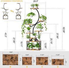 Tiered Plant Stand Indoor, Chinese Plants, Indoor Plant Display, Plant Rack, Support Pour Plante