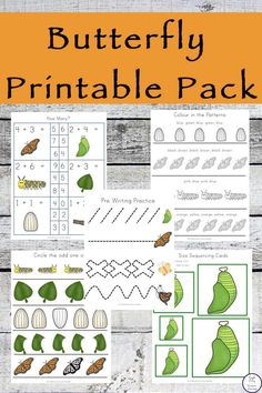 the butterfly printable pack includes pictures and instructions to help kids learn how to make their own butterflies