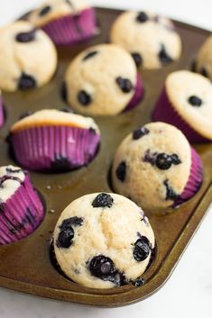 blueberry muffins in a muffin tin ready to be eaten