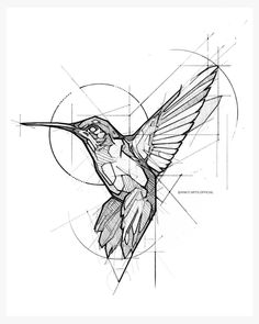 a drawing of a hummingbird flying in the air