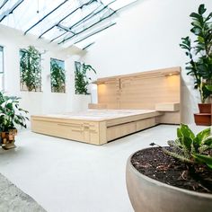 a bed sitting in the middle of a room next to potted plants and windows