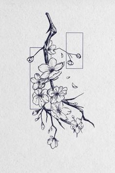 an ink drawing of a branch with flowers on it and a square in the background