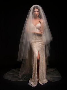 a woman wearing a wedding dress and veil