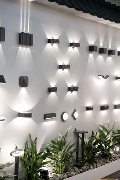 several lights are on the wall above some plants