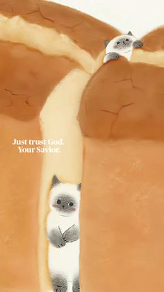 a cat standing on its hind legs in the middle of a desert area with a quote above it that says just trust god, your salvation