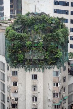 an apartment building with plants growing on the roof