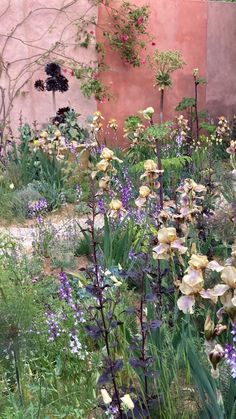 the garden is full of colorful flowers and plants in front of a pink building with purple trim