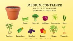 a potted plant with different types of vegetables in it and the words medium container holds up to 6 gallonns 156 cubic feet of soil